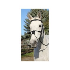 Bridon Kendal Protanner Gold