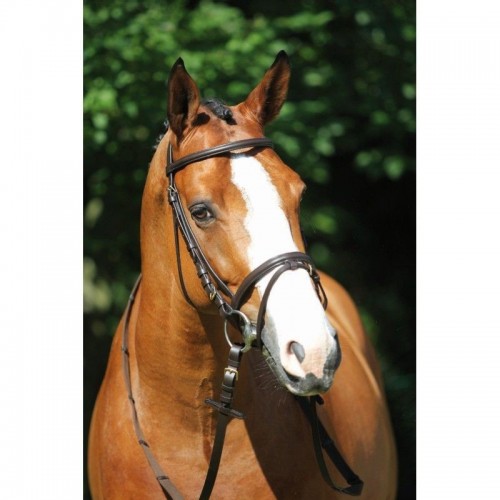 Cabezada combinada Shetland ProTanner