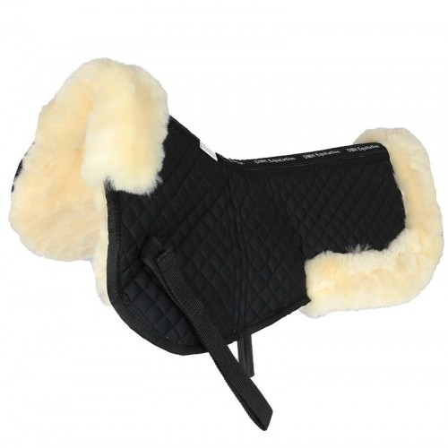 Amortisseur mouton canal rachidien... Amortisseur mouton canal rachidien...