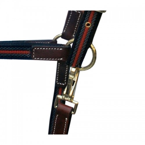 Licol High Class DMH Equitation Majestic Licol High Class DMH Equitation Majestic