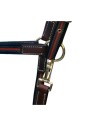 DMH Equitation High Class Halter Majestic