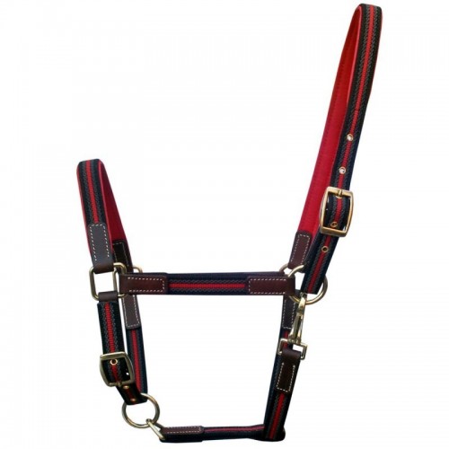 High Class Halfter DMH Equitation...