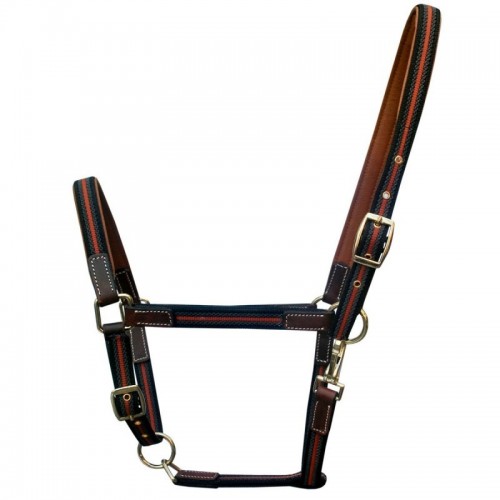 High Class Halfter DMH Equitation...