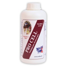 "Pro Cell Rekor" würde auf Deutsch als "Prozessrekord"...