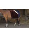 Coperta per cavalli Equithème Teddy foderata in montone sintetico 0g
