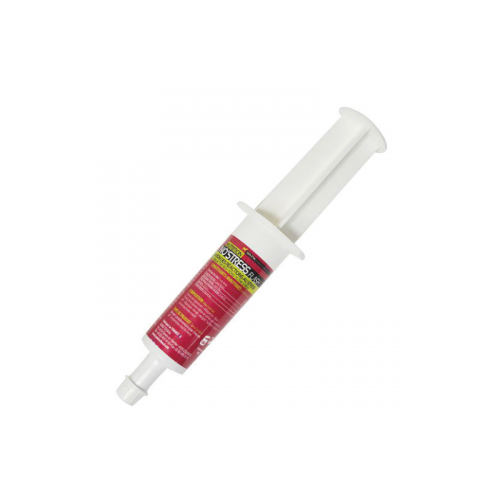 Flash zonder stress Paskacheval