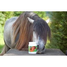 Ravene Biodyne biotine 2