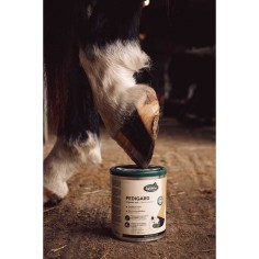 Pedigard pomada negra Ravene