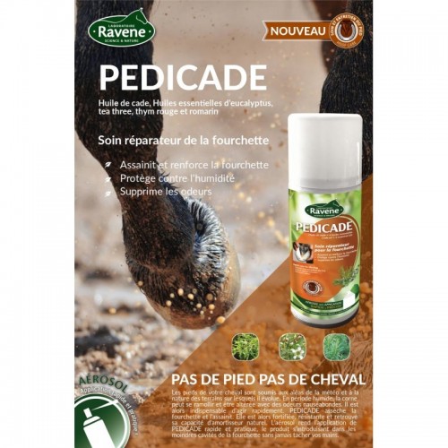 Reparierende Pflege für gespaltene... Reparierende Pflege für gespaltene...