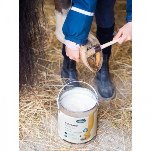 Pedigard blonde Salbe von Ravene. Pedigard blonde Salbe von Ravene.