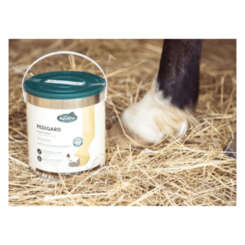 Pedigard blonde zalf Ravene Pedigard blonde zalf Ravene