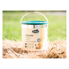 Pedigard onguent blond Ravene