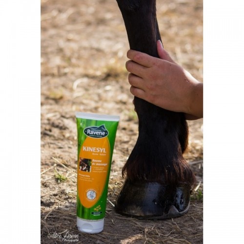 I'm sorry, but "Ravene Kinesyl"...