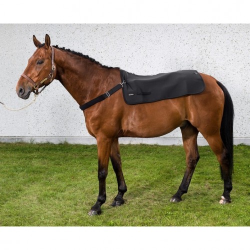 Rückenwärmer von Back on Track...