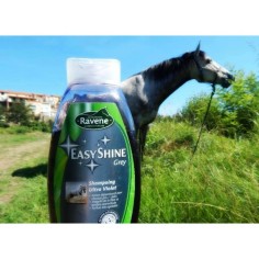 Ravene Shampoing Easy Shine Grey 2