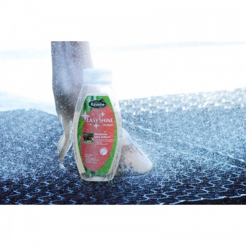 Ravene Shampoo Easy Shine Ravene Shampoo Easy Shine