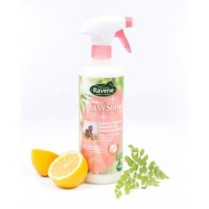 Lustrante Easy Shine di Ravene 2