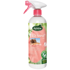 Lustrante Easy Shine di Ravene