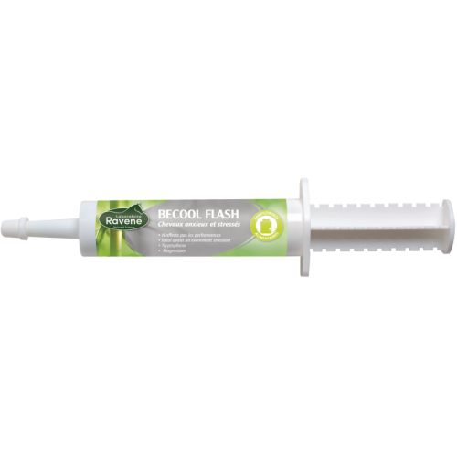 I'm sorry, but the phrase "Becool...