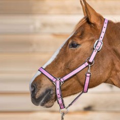 Lami-Cell Halter Nueva diversión