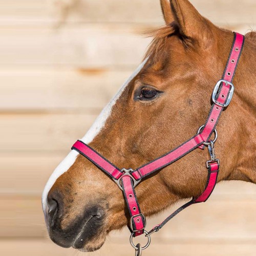 Lami-Cell Halter Nueva diversión