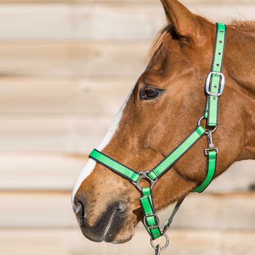 Lami-Cell Halter Nueva diversión