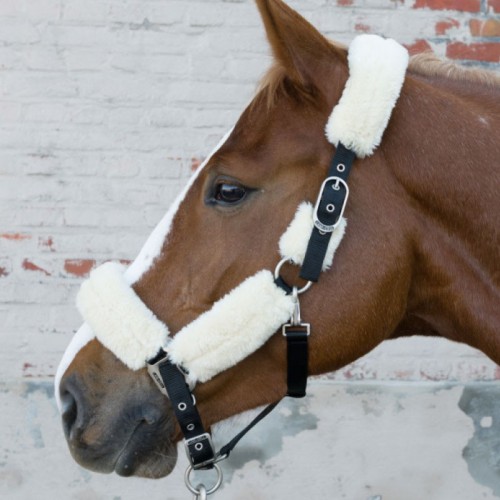 Lami-Cell Halster Wol met...