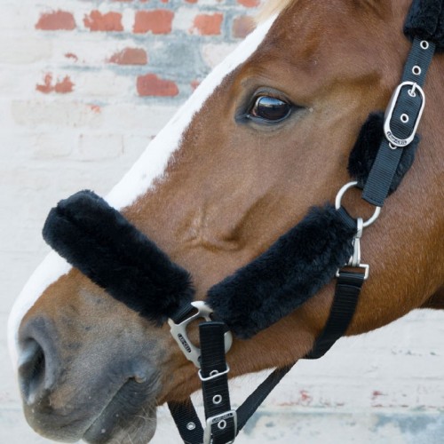 Licol Lami-Cell Wolle mit...