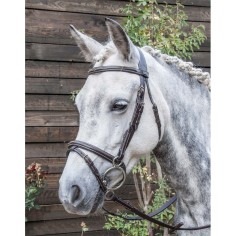 TdeT Bridon cuir Kessel