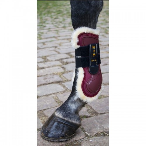 TdeT Gamaschen, die die Sehnen...