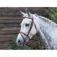 TdeT Bridon cuir Sisley