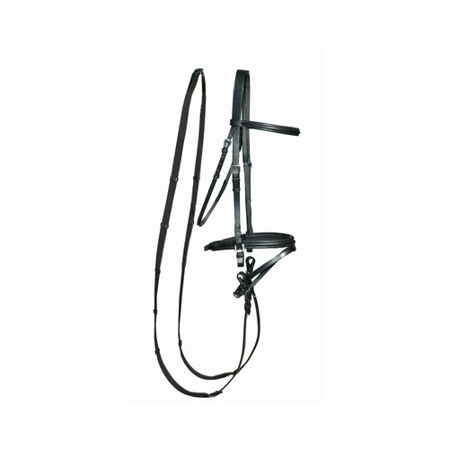 Brida Bellini de TdeT Brida Bellini de TdeT