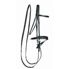 Brida Bellini de TdeT 2