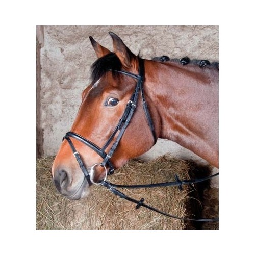 Bridon Bellini par TdeT