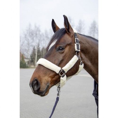 Licol Style gepolstert teddy Well HKM