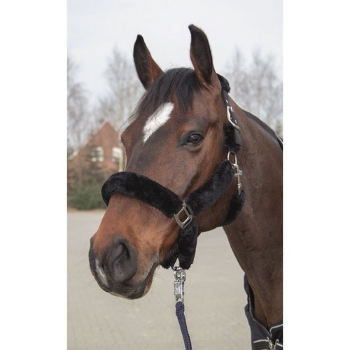 Licol Style gepolstert teddy Well HKM