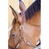 Bridle in cuoio con frontalino anatomico