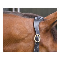 Leren halster met anatomische kopplaat