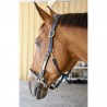 Bridle in cuoio con frontalino anatomico
