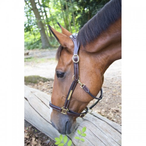 Bridle in cuoio con frontalino anatomico Bridle in cuoio con frontalino anatomico