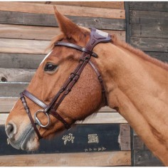 Bridon Chagall à pont TdeT