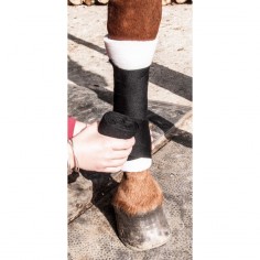 Inserciones de espuma Frontal TdeT