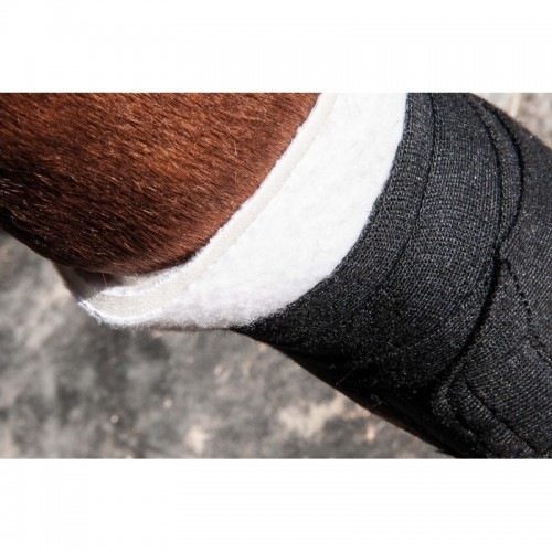 Sottopancia in schiuma Anteriore TdeT