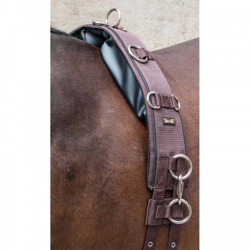 Surfaix TdeT Surfaix TdeT