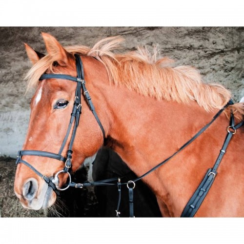 Cabezada Biotack TdeT