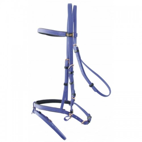 Biotack hoofdstel TdeT Biotack hoofdstel TdeT