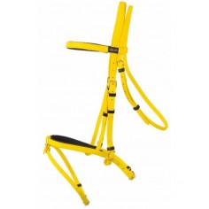 Biotack hoofdstel TdeT