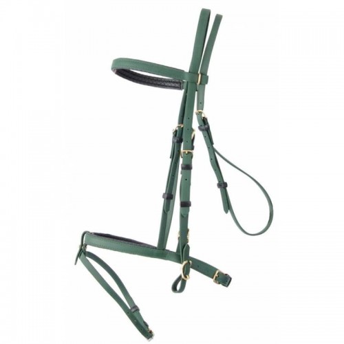 Biotack hoofdstel TdeT Biotack hoofdstel TdeT