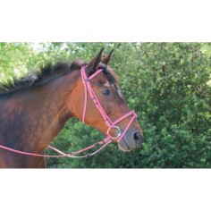 Bridon biotack TdeT 2