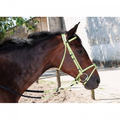 Bridon biotack TdeT Risultato:...